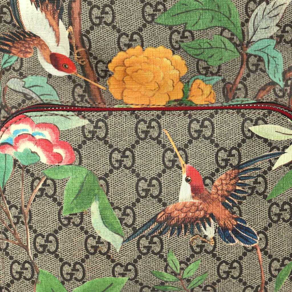 Gucci GG Supreme Monogram Tian Web Small Day Backpack Multicolor