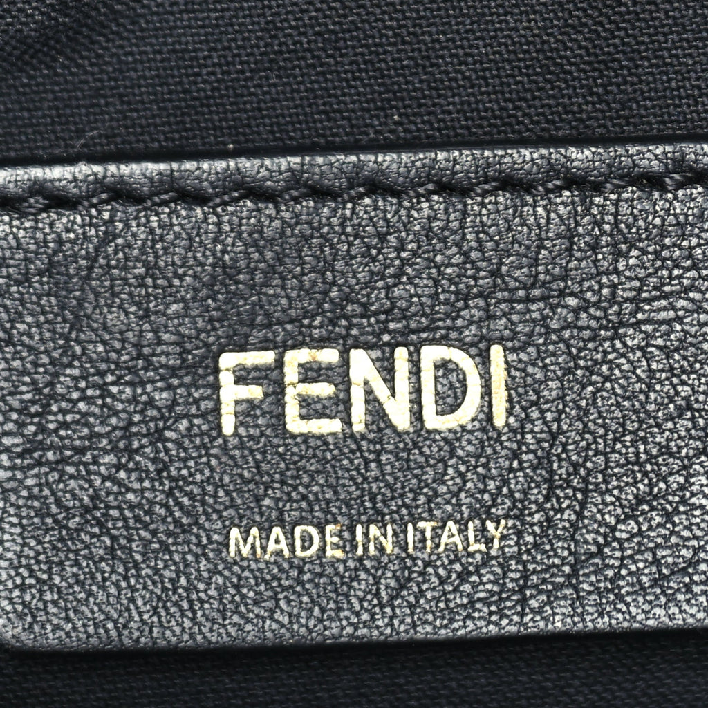 Fendi Vitello Grace Matte Small Fendigraphy Hobo Bag  Black