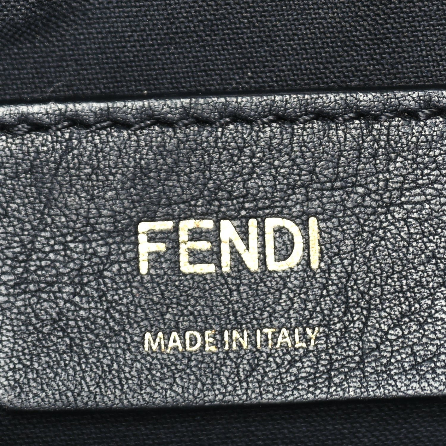 Fendi Vitello Grace Matte Small Fendigraphy Hobo Bag  Black