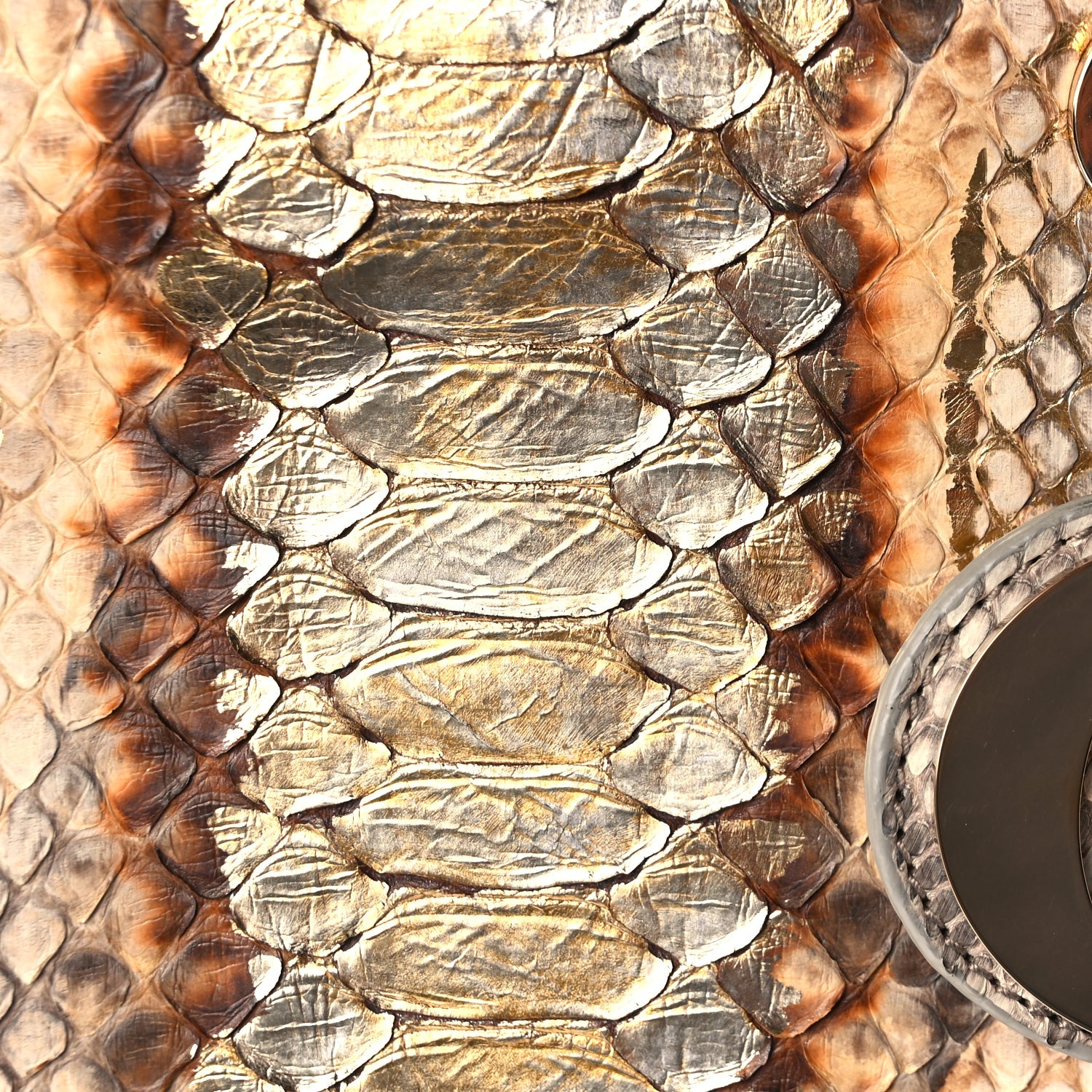 Christian Dior Snakeskin Large Lady Dior Beige