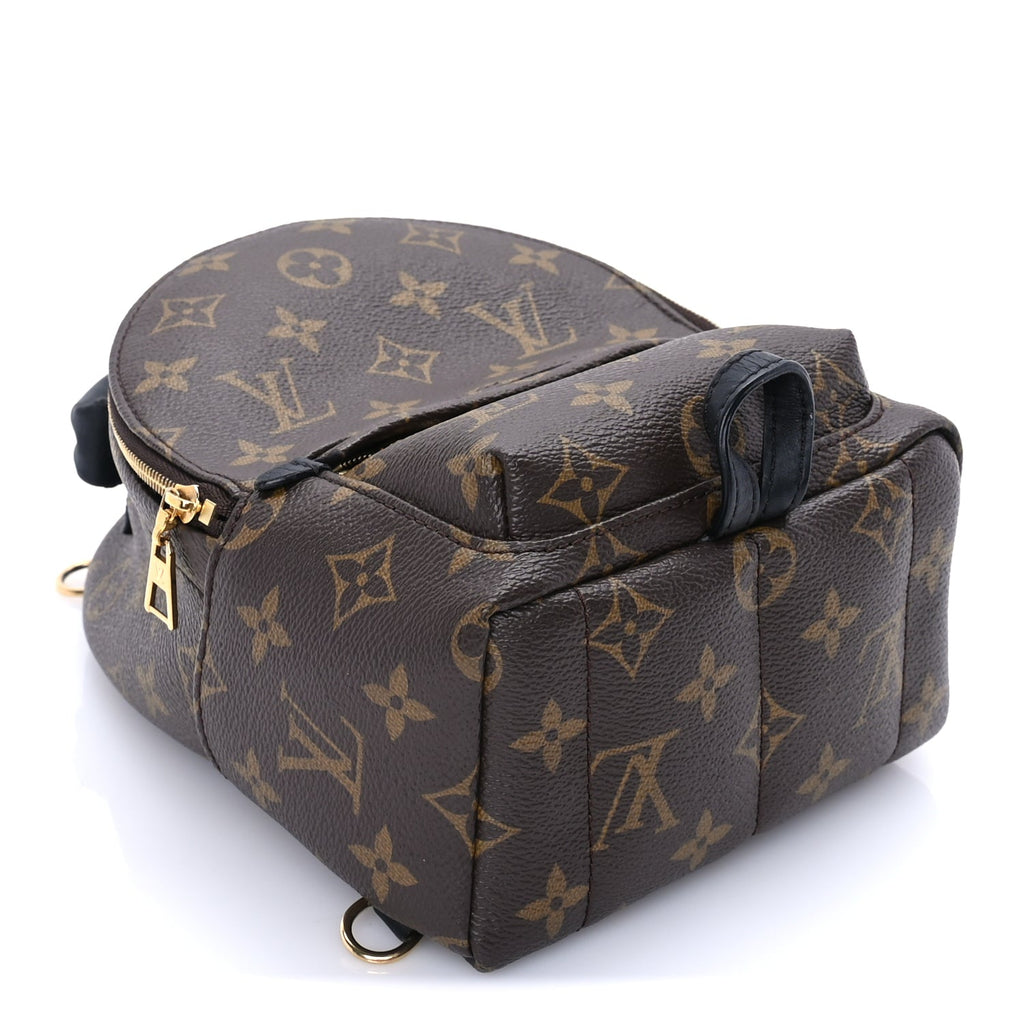 Louis Vuitton Monogram Palm Springs Backpack Mini