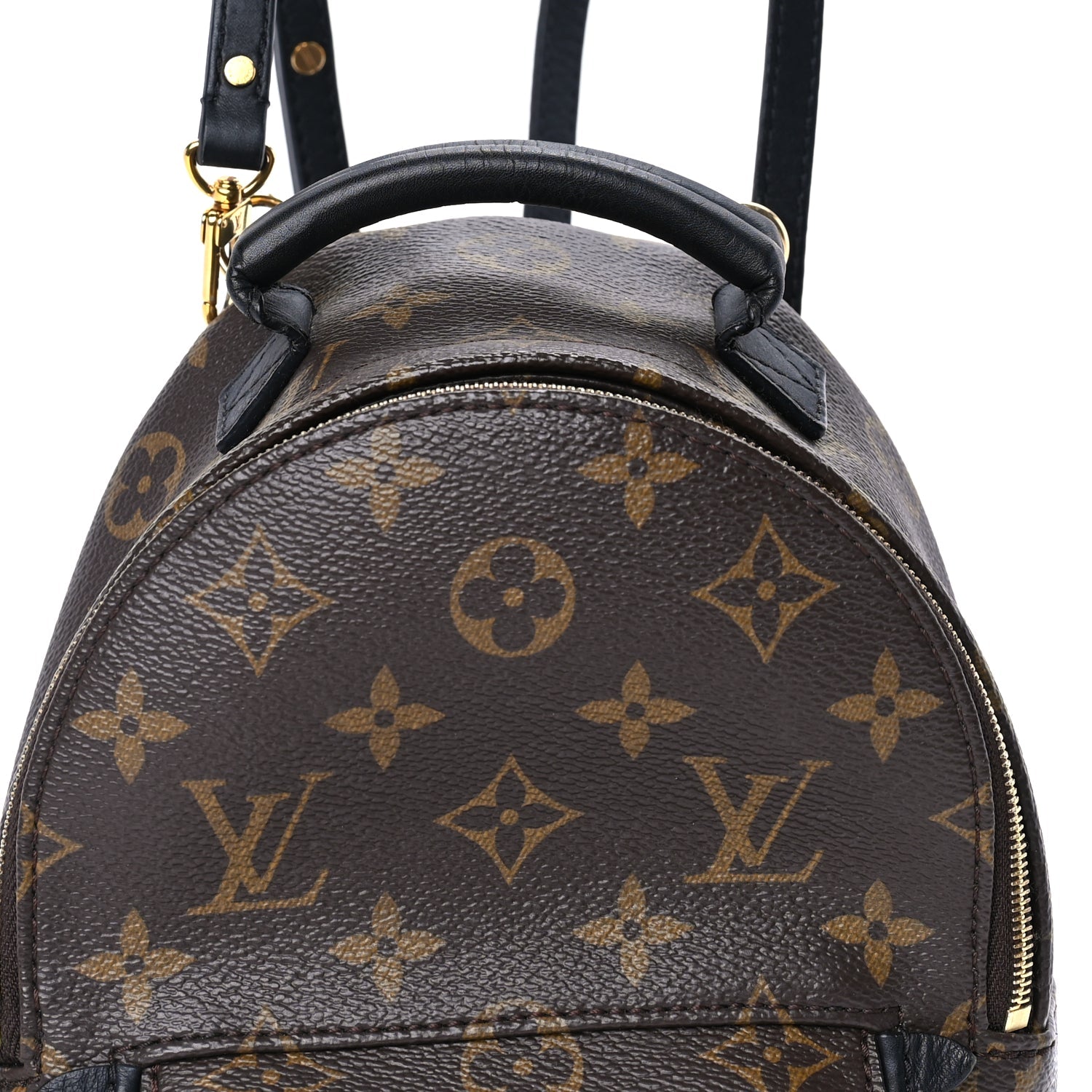 Louis Vuitton Monogram Palm Springs Backpack Mini