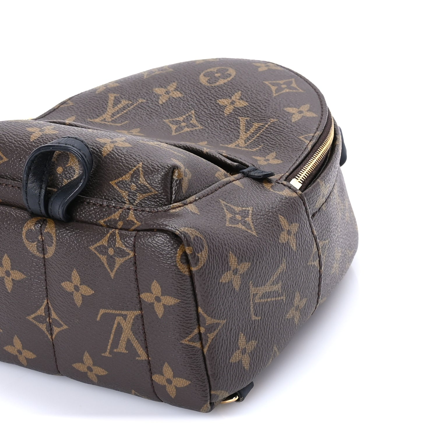 Louis Vuitton Monogram Palm Springs Backpack Mini