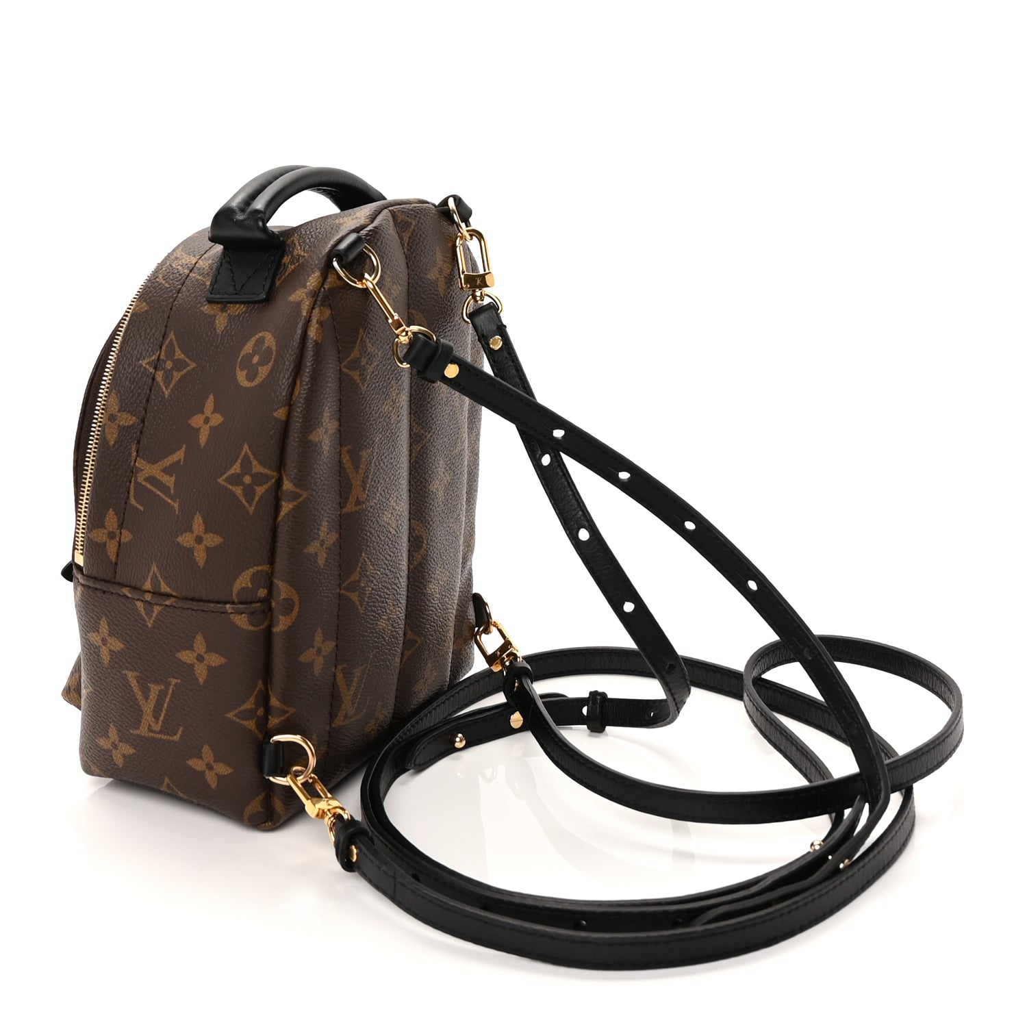 Louis Vuitton Monogram Palm Springs Backpack Mini
