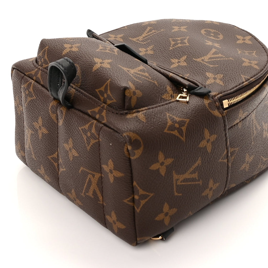 Louis Vuitton Monogram Palm Springs Backpack Mini
