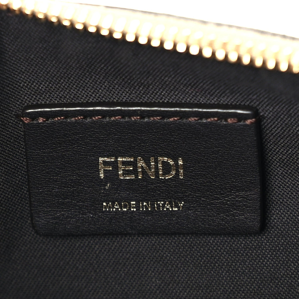 Fendi Vitello Grace Matte Small Fendigraphy Hobo Bag  Nuvola