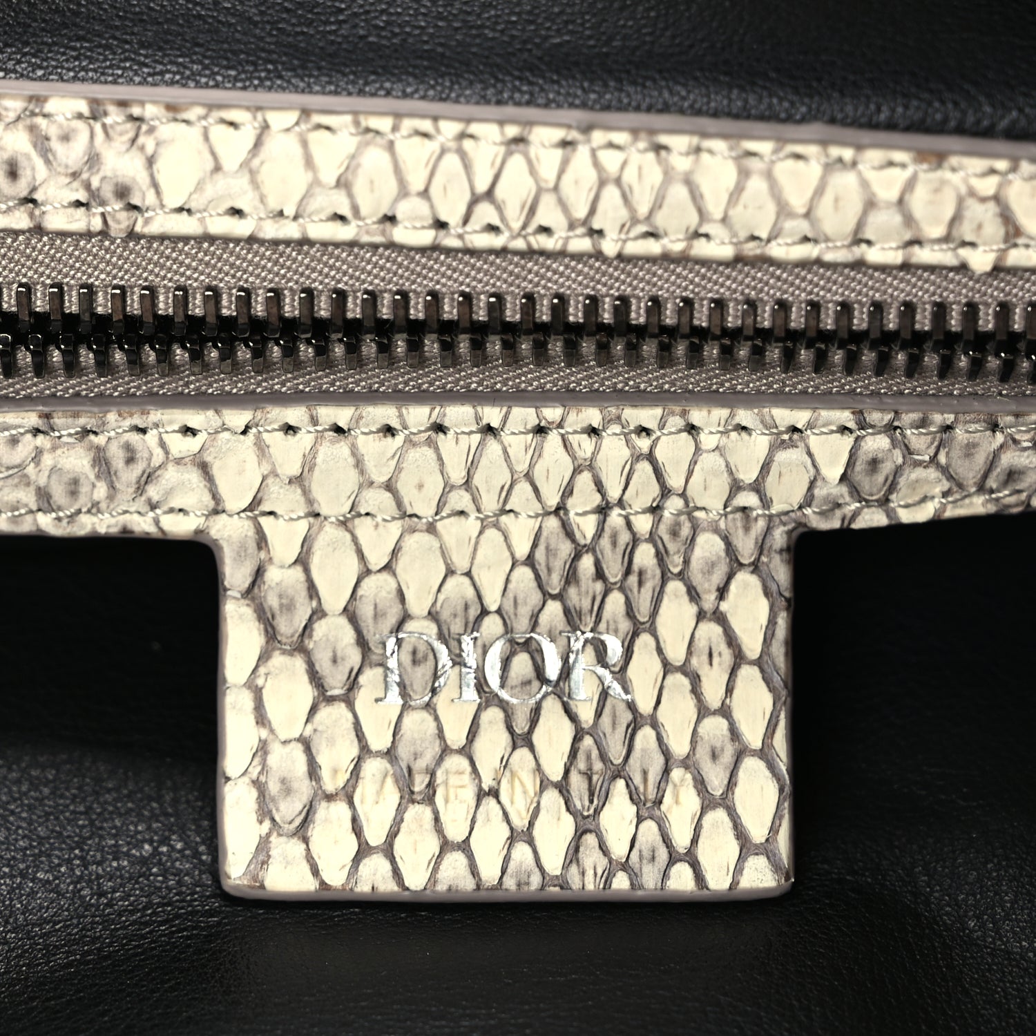 Christian Dior CHRISTIAN DIOR Snakeskin Saddle Soft Bag