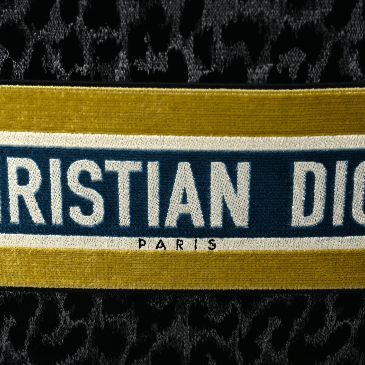 Christian Dior Velvet Mizza Embroidered Medium Leopard Book Tote Black Yellow Blue