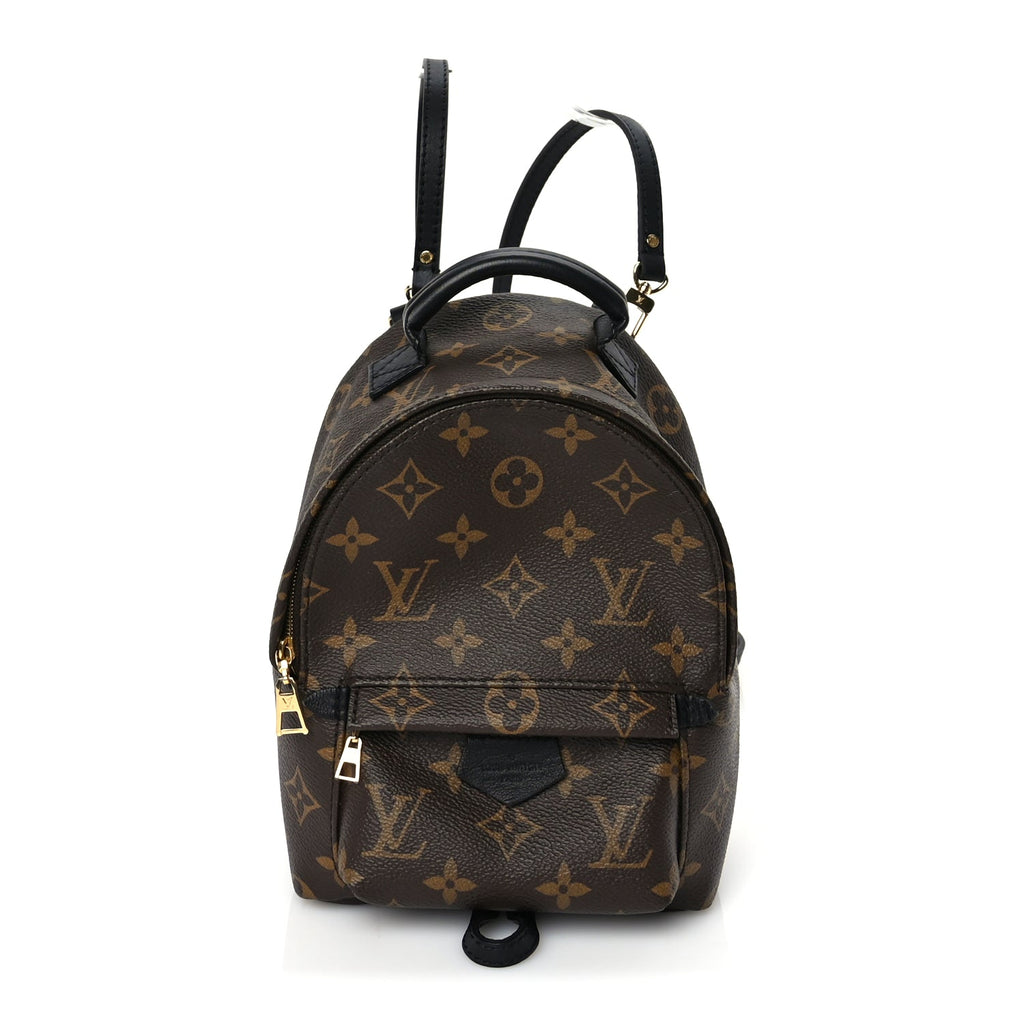 Louis Vuitton Monogram Palm Springs Backpack Mini