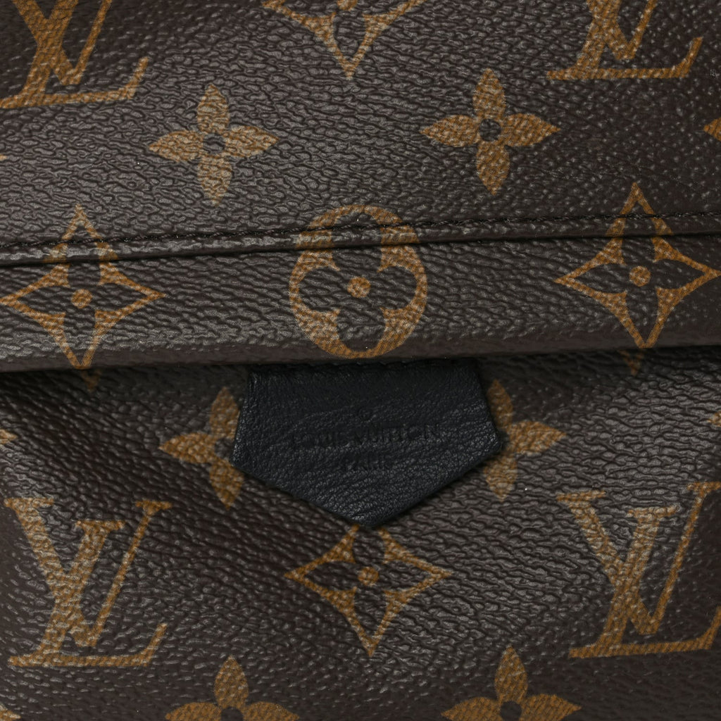 Louis Vuitton Monogram Palm Springs Backpack Mini