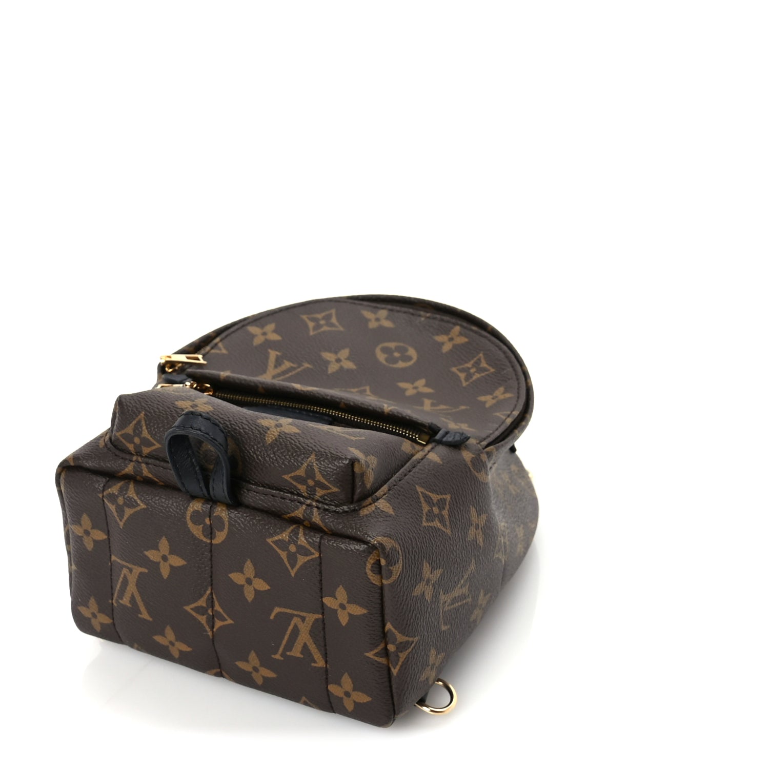 Louis Vuitton Monogram Palm Springs Backpack Mini