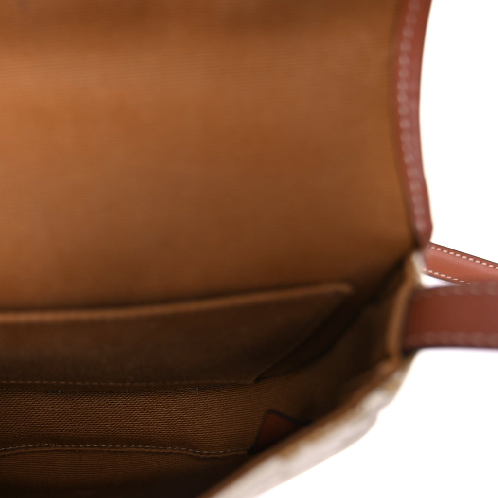 Celine Triomphe Canvas Calfskin Mini Besace Bag  White